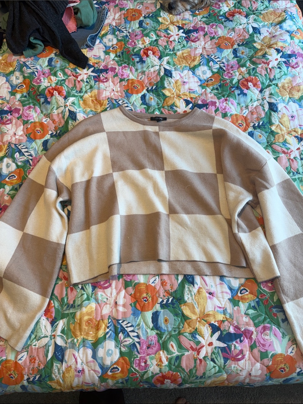 Papermoon Beige & Cream Checkered Cropped Sweater